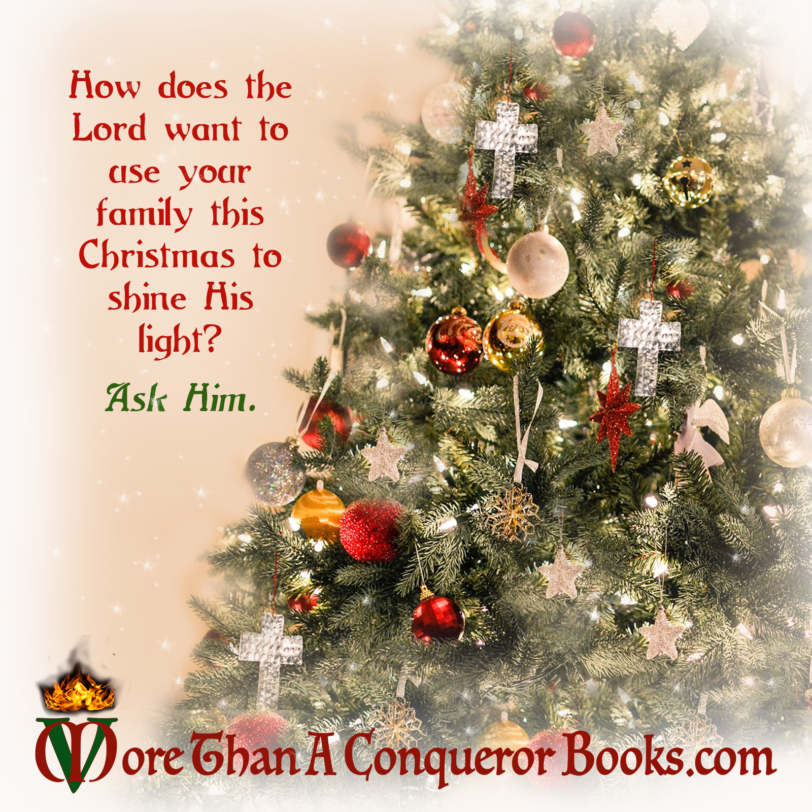 Christmas-How does God want to use your family to shine His light-Mikaela Vincent-MoreThanAConquerorBooks