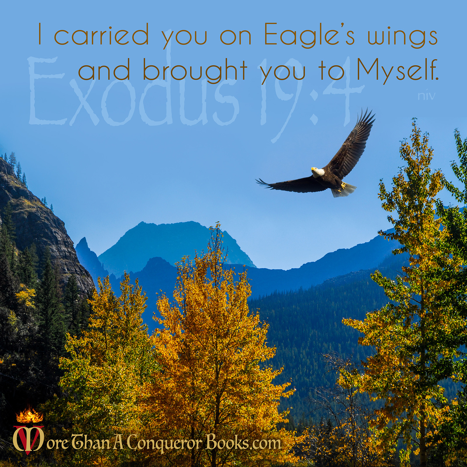 Soar over the barriers-Eagle wings-draw near to God-Exodus 19-Mikaela Vincent-MoreThanAConquerorBooks.com